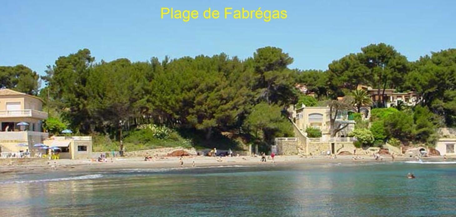 Chambre Et Salle De Bain Independantes A 200M De La Plage De Fabregas La Seyne-sur-Mer Eksteriør billede